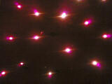 Annas lights