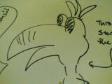 The bird