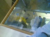 Fish tank