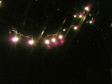 Lights