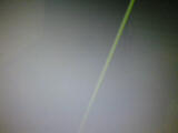 Green line