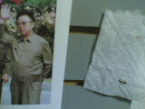 Dead fly and kim jung il