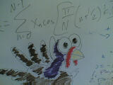 Turkey and the idct 2