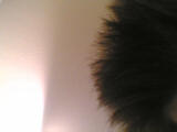 Spiky hair