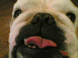 Maxwell!