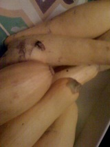 Limesquash