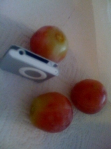 Massive grapes