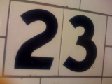 Twenty-three
