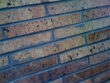 Bricks