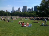 Memorial day