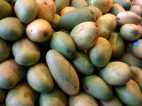 Mangoes