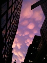 Puffy sky