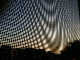 Caged sunrise