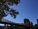 Q bridge