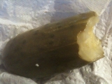 Pickle