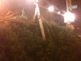 Xmas