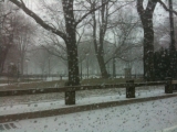 Snow