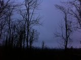 Not sunny