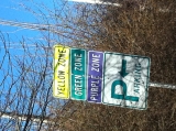 Mardi GRAS spirit