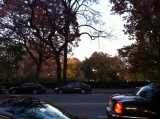 Fall