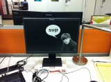 Bieber